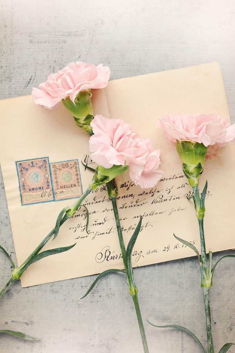 Vintage Postcards
